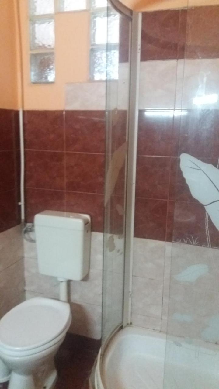 Pensiunea Nicol Tulcea Buitenkant foto